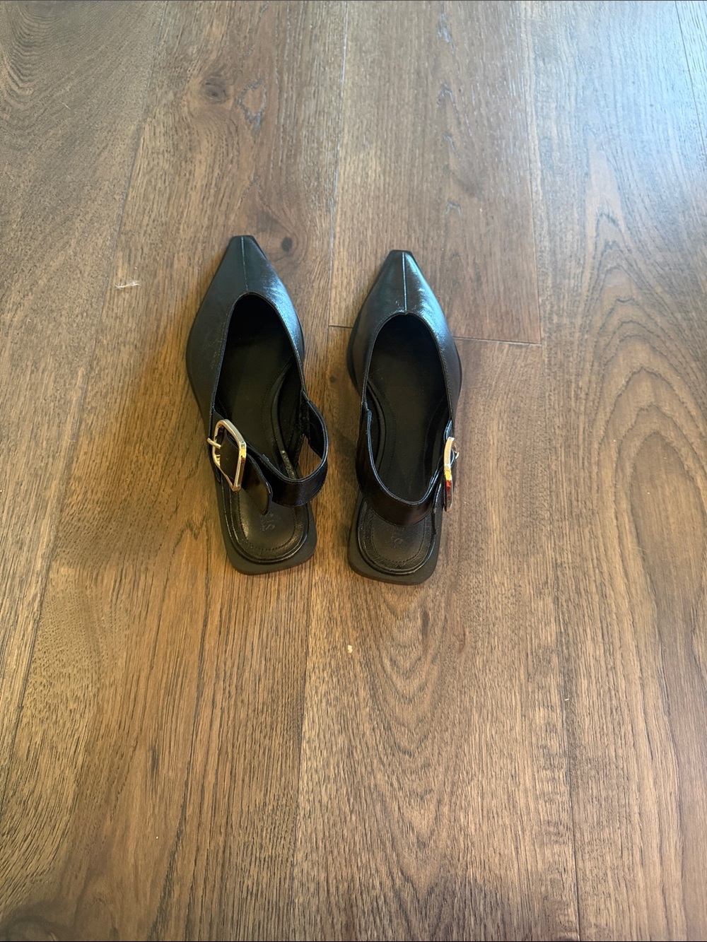 Steve Madden Black Pointed Slingback Flats with Gold Buckles - Picture 4 of 4